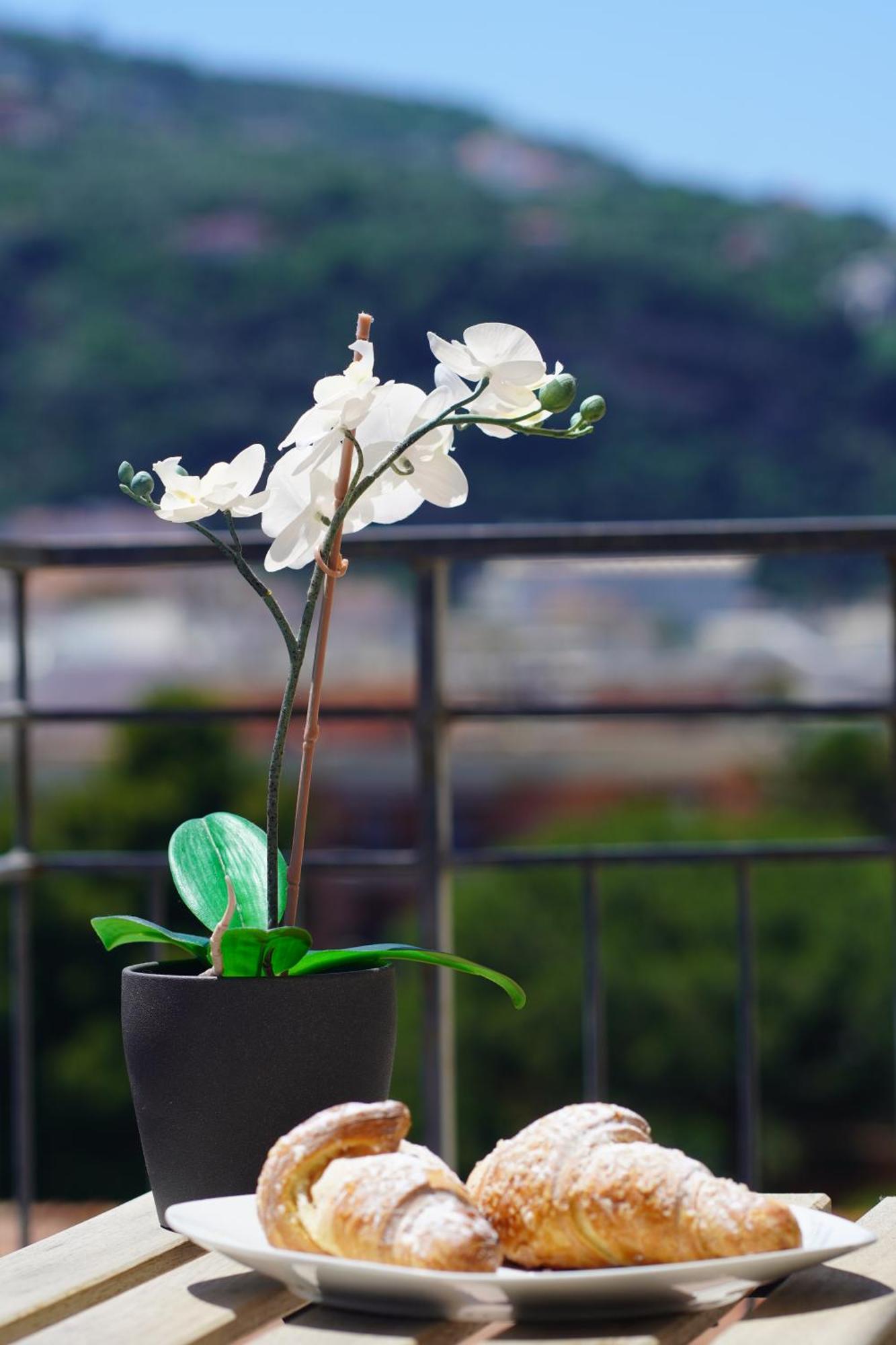 Casa Nelida, Sorrento Centre 아파트 외부 사진